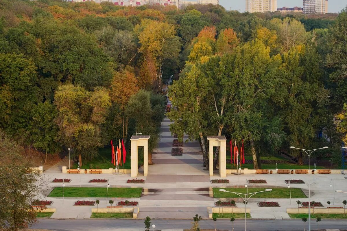 Группа центральный парк. Парк Динамо Воронеж. Воронежский Центральный парк Динамо. Сквер Динамо Воронеж. Парки Воронежа Динамо.