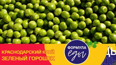 Горох краснодарский