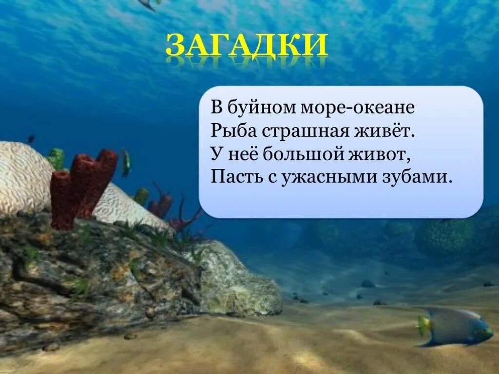 Отгадай загадку в море. Морские загадки. загадки про океан. загадка про море. подводные загадки.