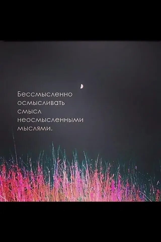 Бессмысленно осмысливать смысл. Нет смысла осмысливать смысл неосмысленными мыслями. цитата бессмысленно осмысливать смысл неосмысленными мыслями. неосмысленный финал.