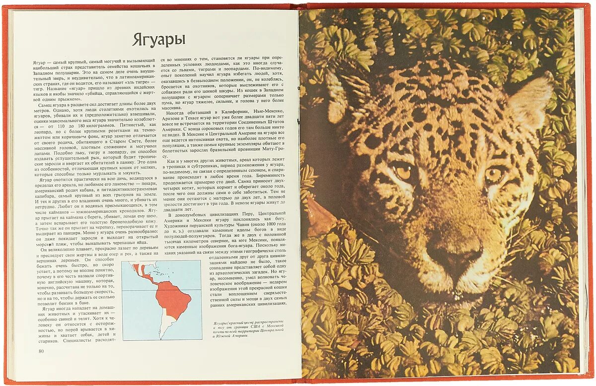 п. комплект книг в мире дикой природы издательство и. книги из серии мир дикой природы. удивительный мир диких животных книги купить. дикая обложка книги.