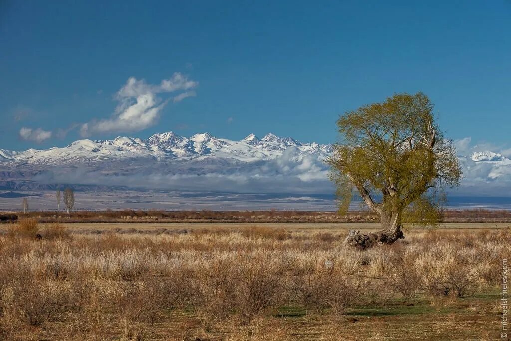 Киргизия в мае. Пейзажи Киргизии. Средняя Азия природа. Кыргызстан пустыня. Иссык Кульская котловина.