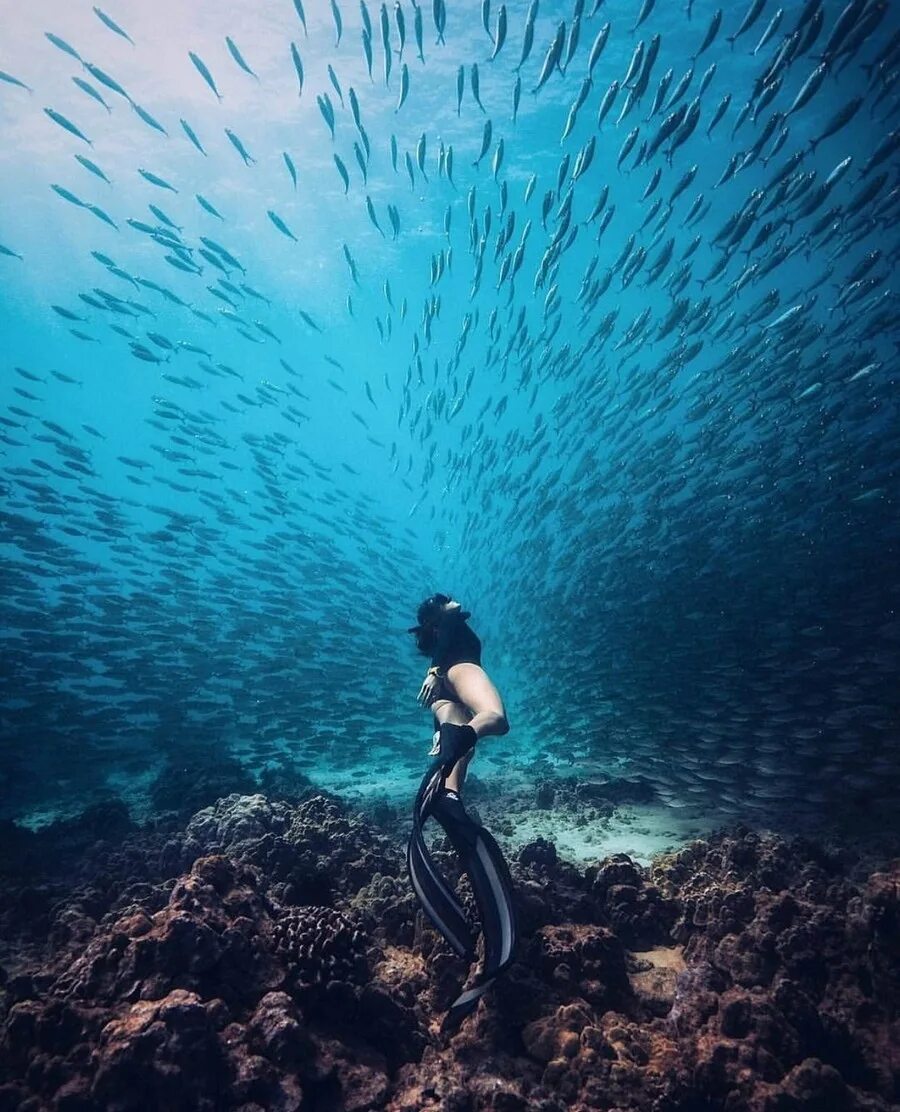 Подборка. Необычные снимки. Интересное под водой. Необычные фото. Захватывающие море.