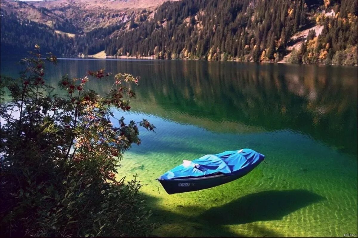 Голубое озеро байкал. Озеро Флатхед штат Монтана. Голубое озеро Нельсон в новой Зеландии. Королевское озеро Кёнигзее. Флатхед озеро прозрачное.