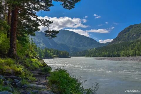 Катунь горная река
