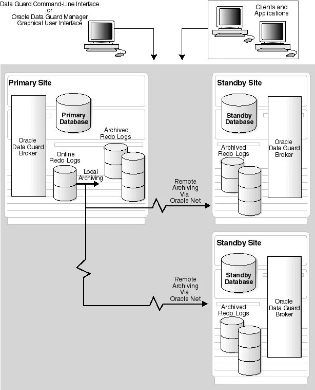 Oracle data guard. Oracle интерфейс. oracle db server stand. realme 9i.