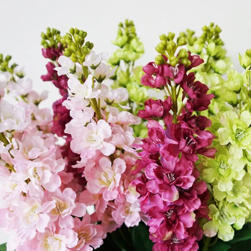 маттиола кустовая. матиолла. матиолла. маттиола левкой букетная. матиолла.