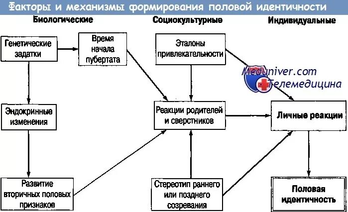 Механизм формирования идентичности. Механизм формирования идентичности