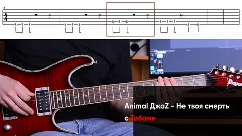 Энимал джаз аккорды