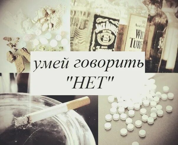 Среда обитания дзен научись говорить нет. Умей говорить нет. уметь говорить нет цитаты. не умею говорить нет. говорить нет цитаты.