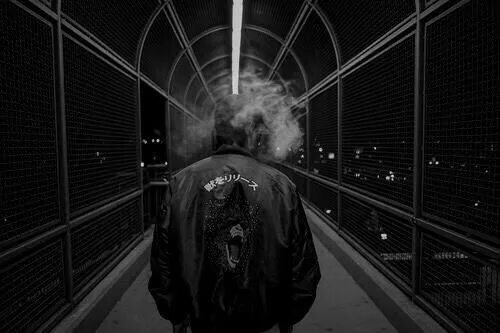 Velvetfangs Street wear, North face jacket, Mens fashion