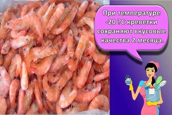 Сколько можно хранить креветки. Креветки в морозилке. креветки условия хранения. морозильник для креветок.