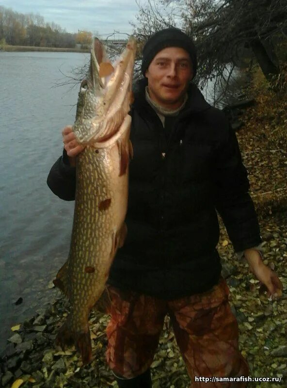 рыболовный магазин на чернореченской в самаре. озеро рубежное самара. самарский рыболовный портал. самарафишинготравление. александр ротанов барнаул.