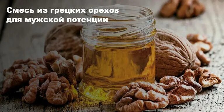 Орешки с медом для потенции. Грецкий орех с мёдом для мужчин. Грецкие орехи и мед потенция. Грецкий орех для потенции.