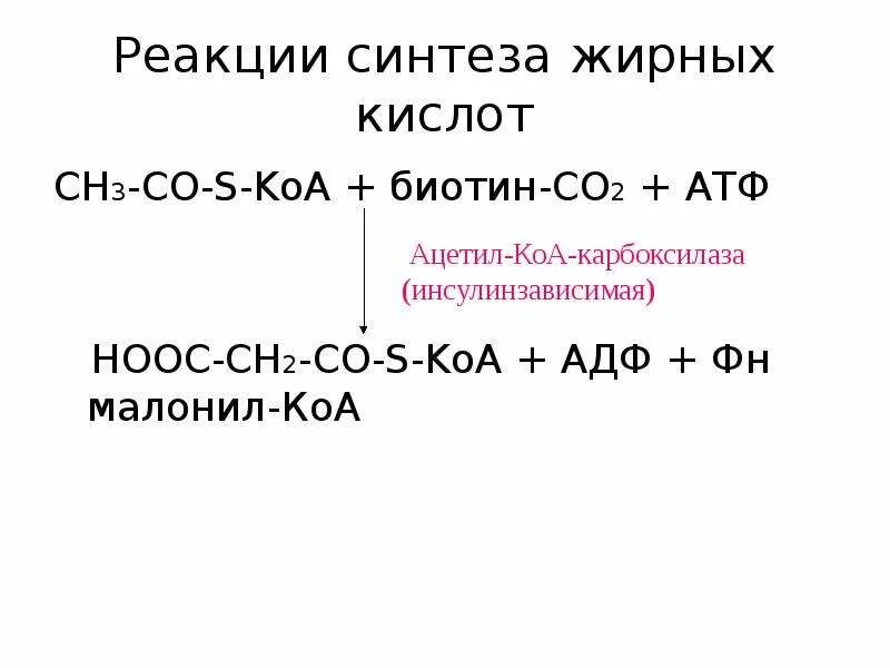 Синтез вжк. Синтез жирных кислот из ацетил КОА реакции. Синтез жирных кислот биотин. Синтез высших жирных кислот реакции. Синтез ВЖК реакции.