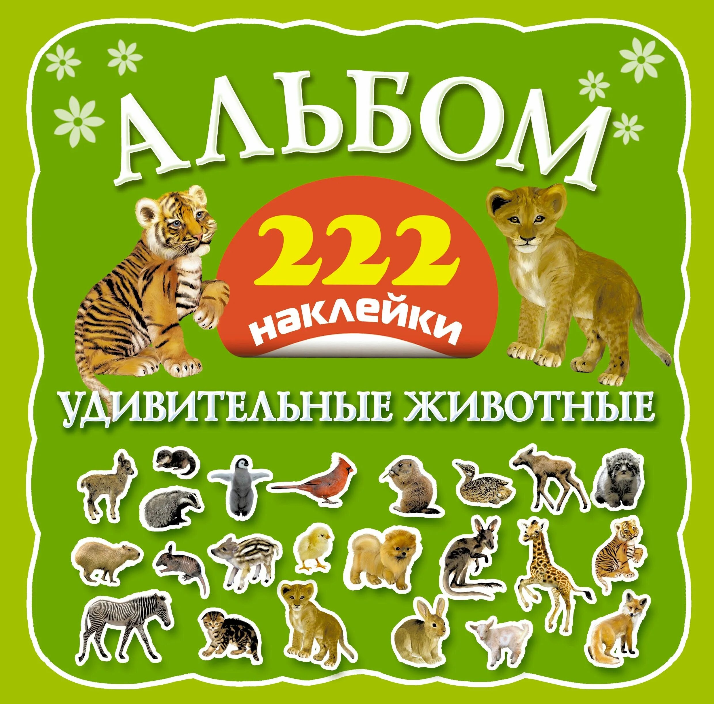 Альбом животный. Животный мир корж. Альбом животный. Такие разные животные книга. Книжка с наклейками.