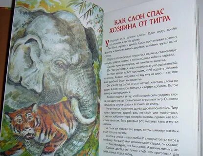 Главная мысль как слон спас хозяина