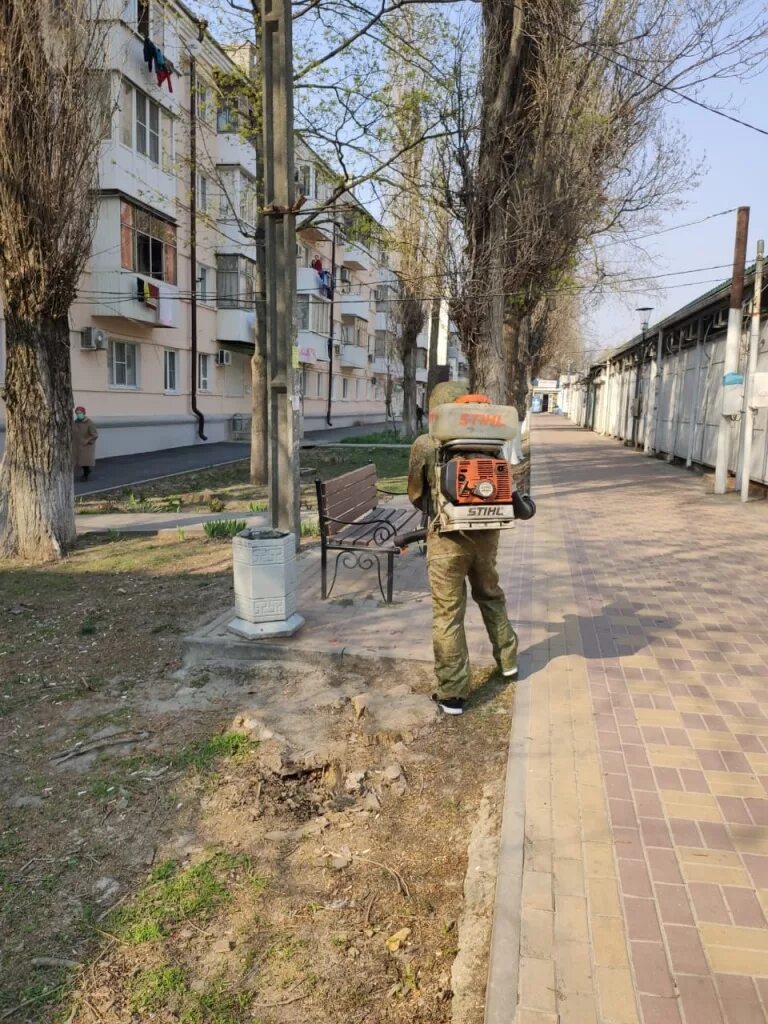 Город Аксай Ростовской области. Аксай Ростовская область лавочка. Деревья в Аксае Ростовской области. Аксай Ростовская область Википедия. Погода аксай ростовская обл