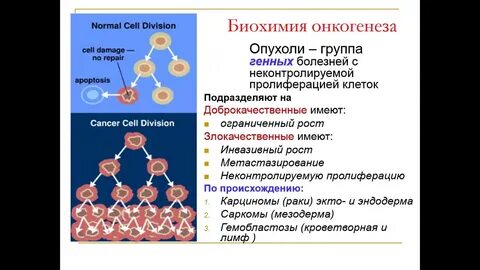 Группа геном