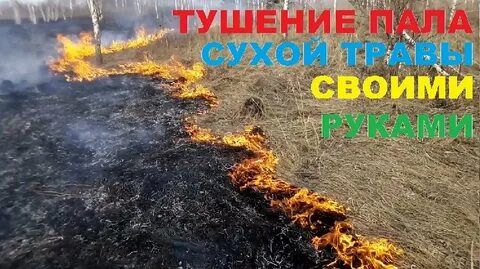 Видео пал