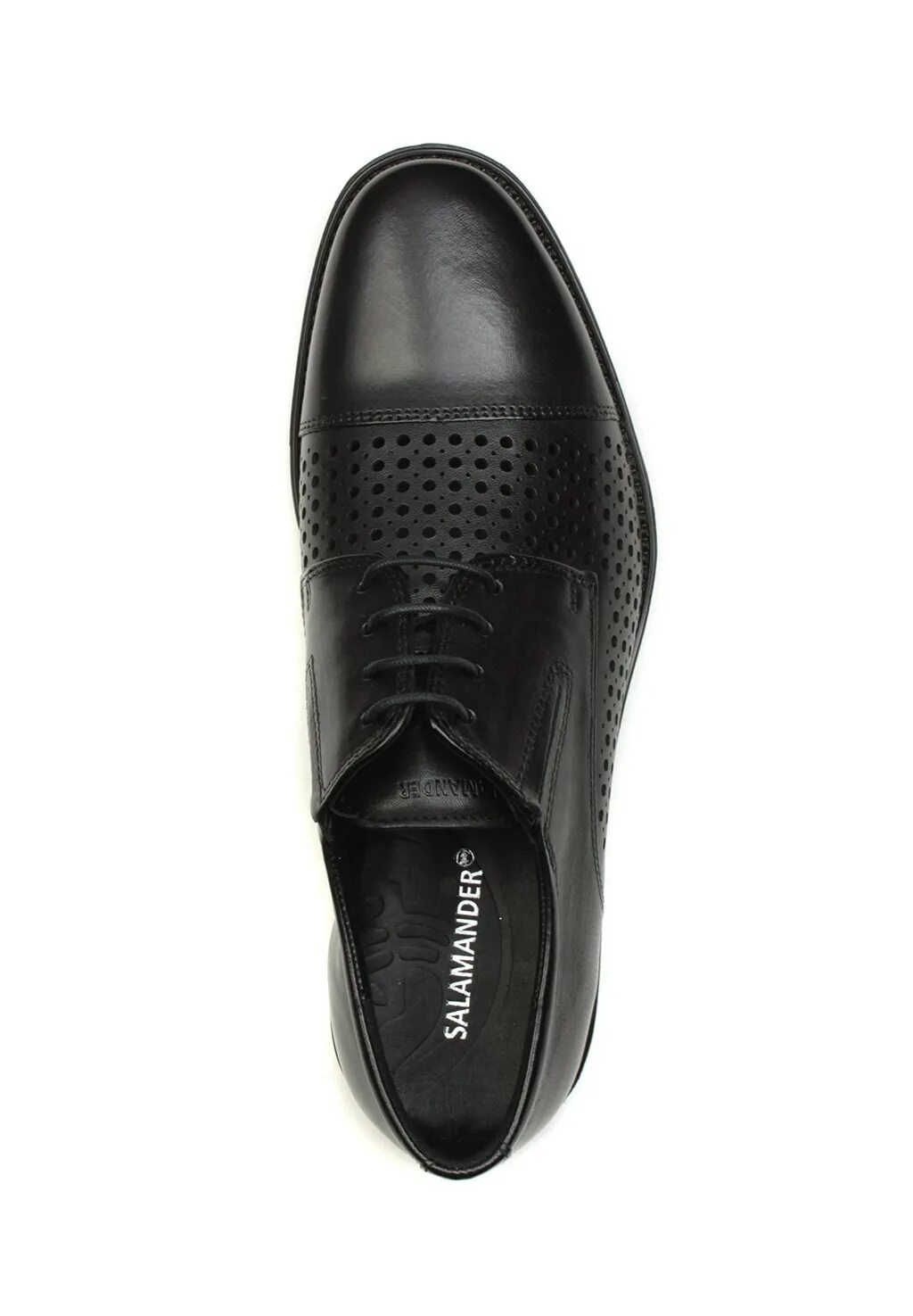 Туфли аполло саламандра. Туфли мужские salamander 13223. 25571 саламандра туфли salamander. Каталог мужской обуви саламандра. Каталог мужской обуви саламандра.