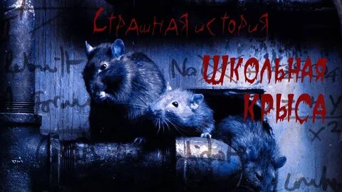 Крысы ужасы
