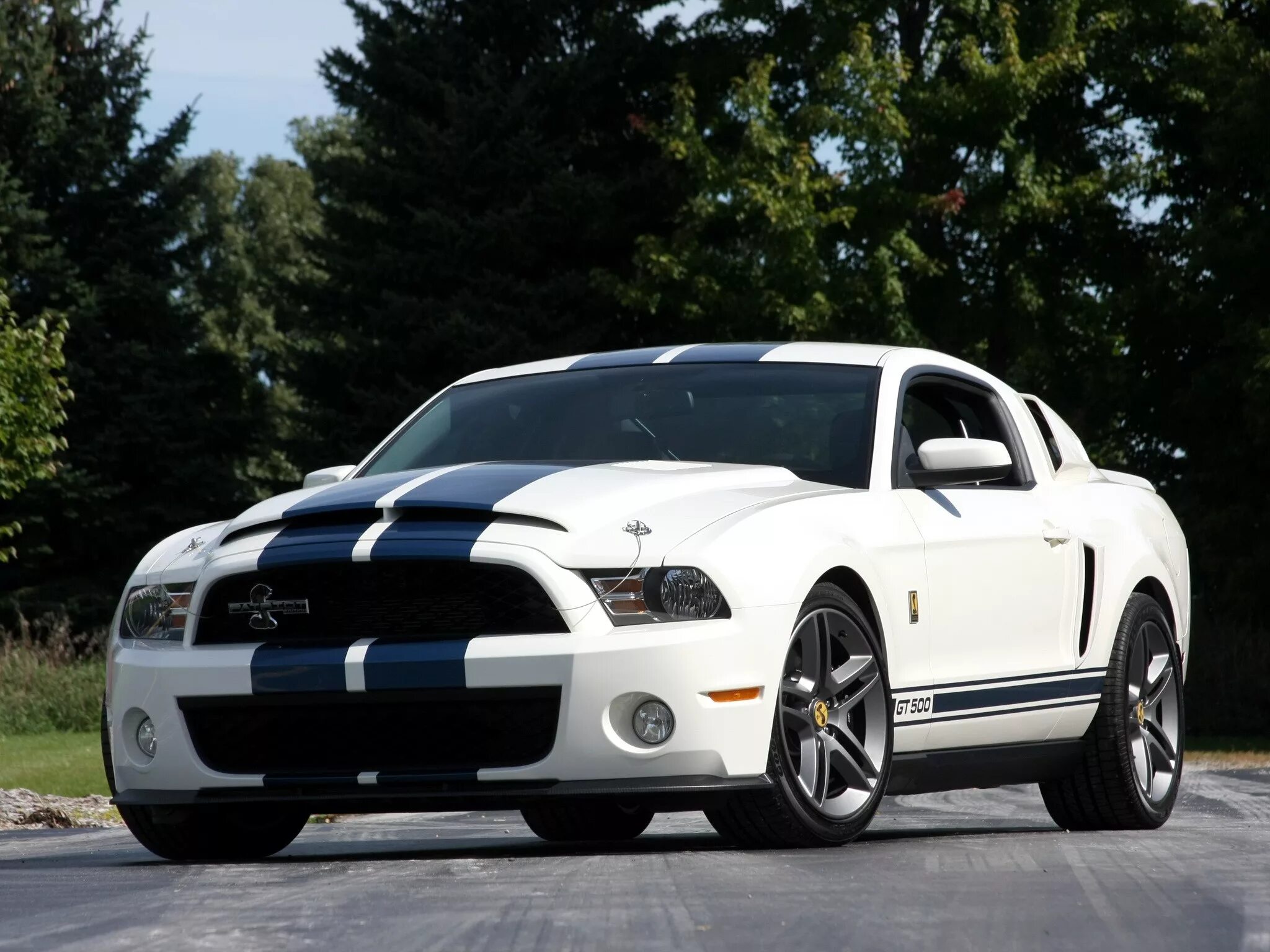 Мустанг джити. Форд Мустанг gt 500. Форд Шелби gt 500. Форд Мустанг gt 500 Shelby. Ford Shelby gt500.