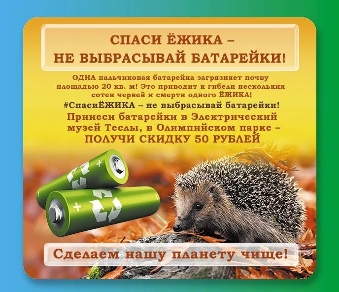 Акция спасем ежика. Акция спаси ежика. экологическая акция сдай батарейку спаси ёжика. ежик и батарейка.