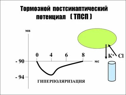 Постсинаптический потенциал