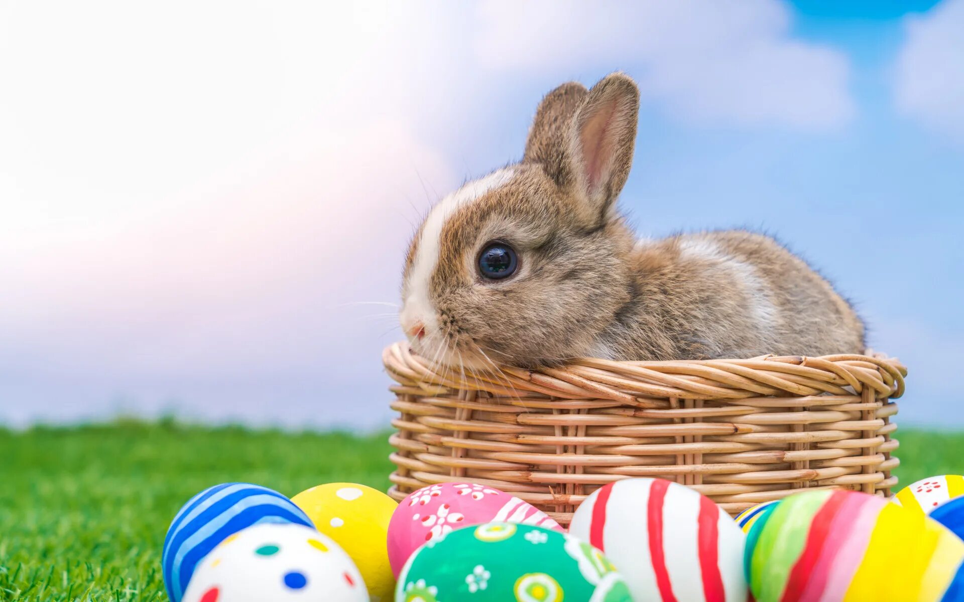 Зайчик на пасху. Игрушки на пасху. Поделки на пасху. Пасхальный заяц. Поделки к пасхе своими руками.