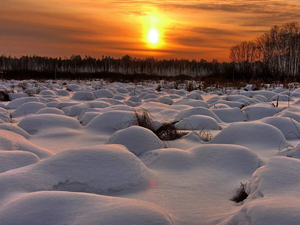 Порзоловское болото. Зима на болоте. Замерзшее болото. Топи снег. Замерзшее болото.