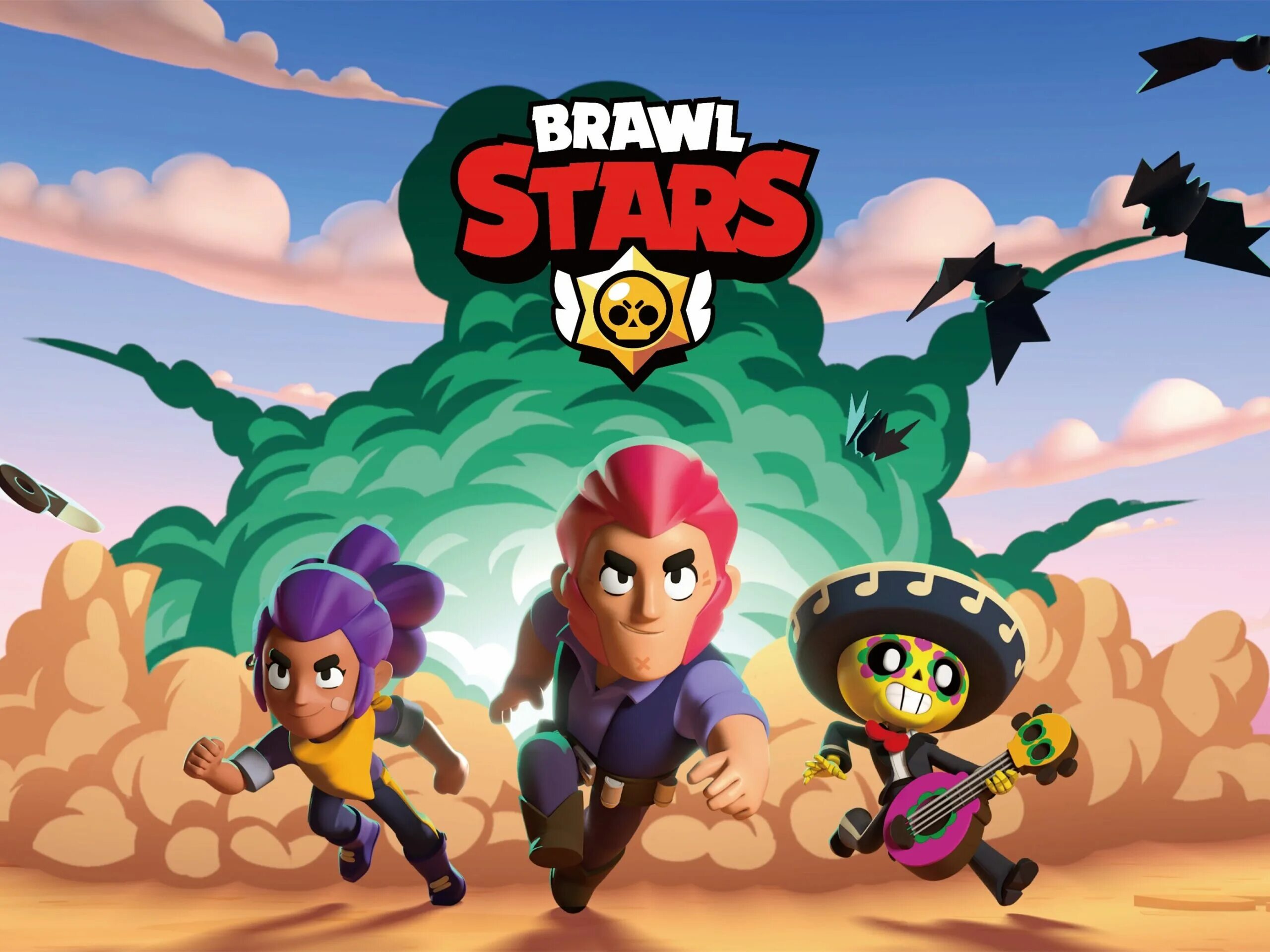 Brawl player. Brawl player