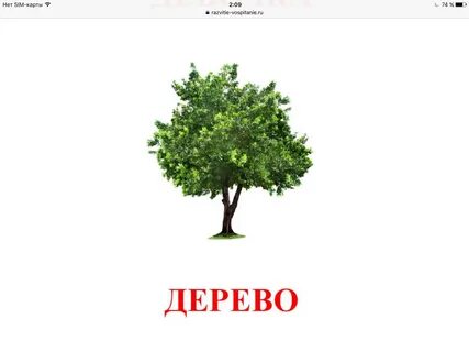 Недостающее слово дерево
