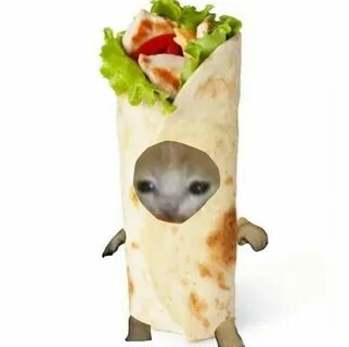 Кот шаурма