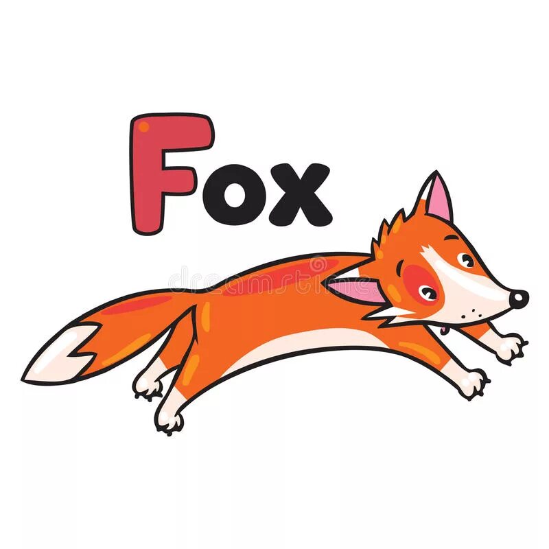 Fox для детей английский. Лиса на английском. Карточка на английском языке лиса. Fox карточка.