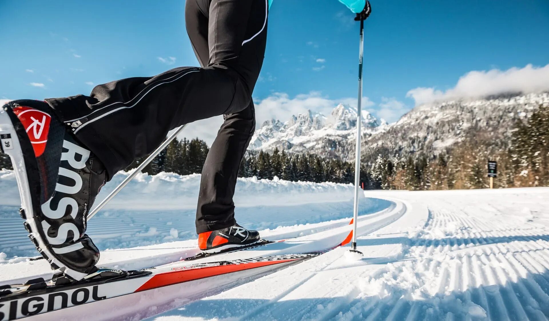Skiing cross country skis. Беговые лыжи. Спортивные лыжи. Беговые лыжи спорт. Лыжник.