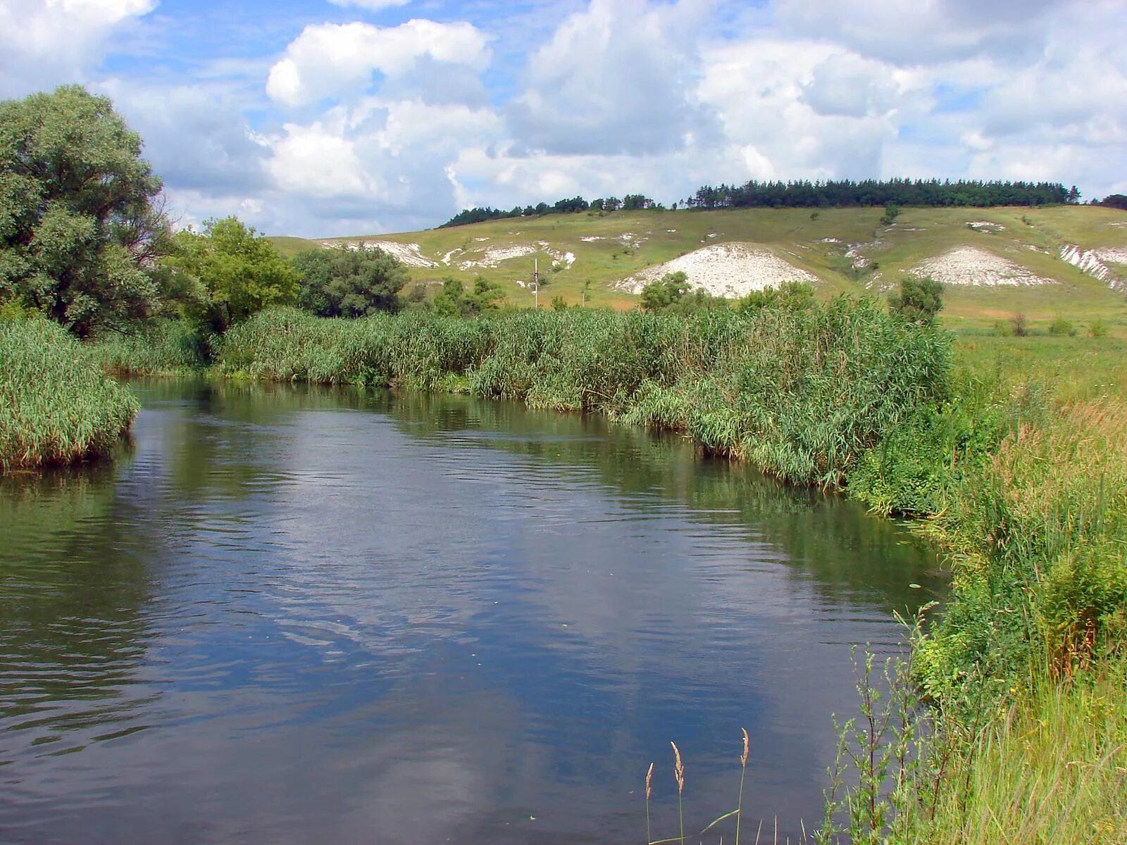Харьковская область местность. Харьковская область история. Ефремовская крепость. Глинское харьковская область. Северский донец река в харьковской области.