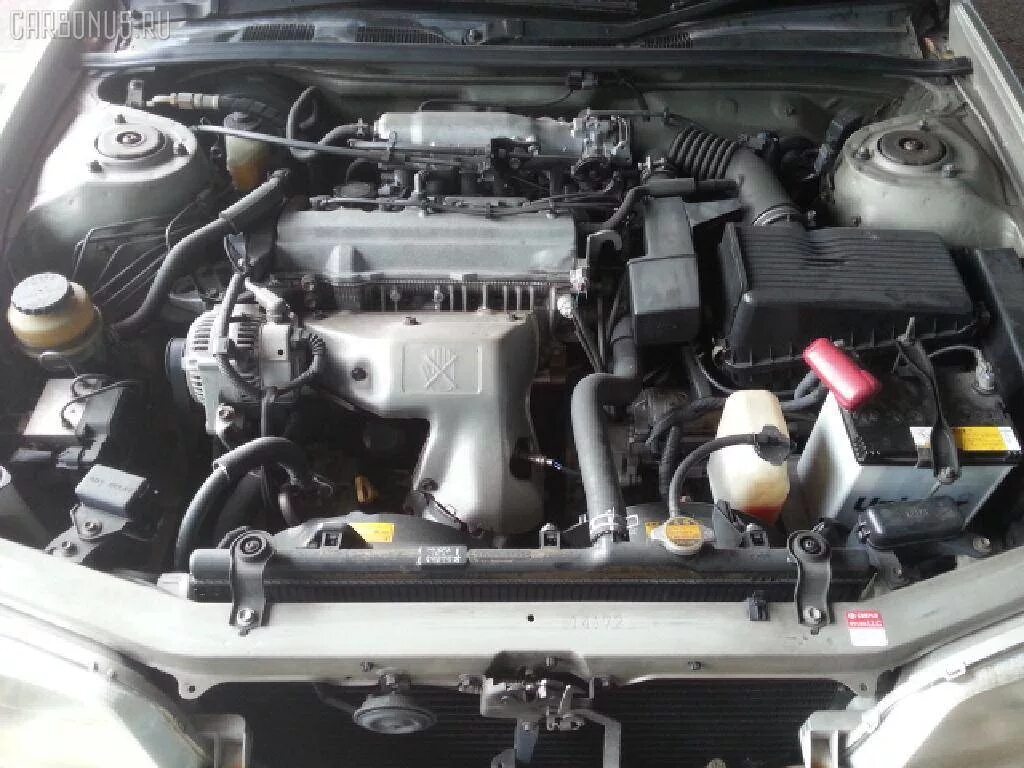 Camry 3sfe