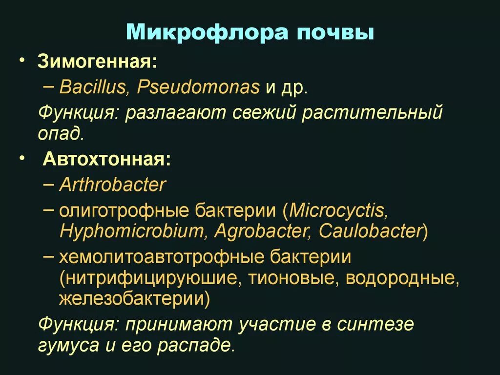 Микробиота почвы. Краткая характеристика микрофлоры почвы. зимогенная микрофлора. микрофлора почвы микробиология.