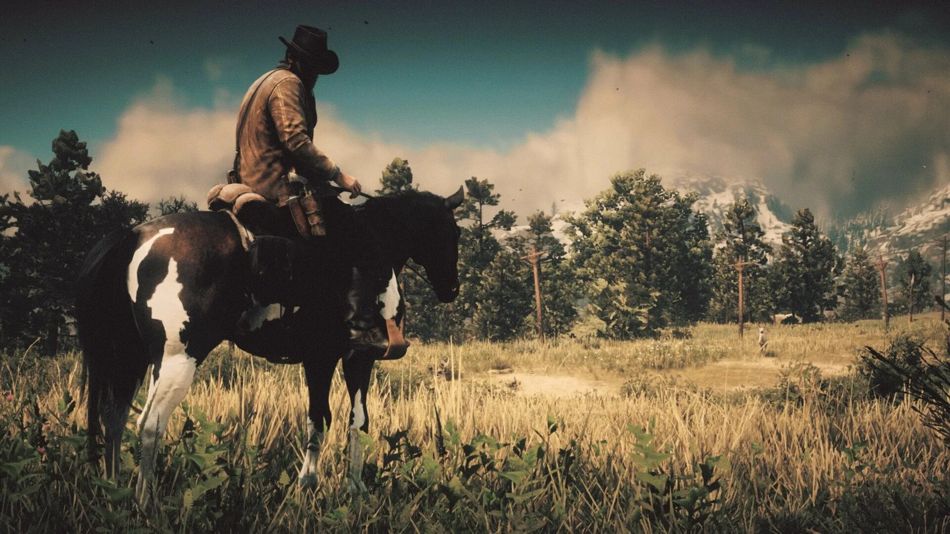 Рдр 20. Red Dead Redemption 2. Red Dead Redemption 2 Скриншоты. Red Dead Redemption 2 rdr2 screenshots. Ред дед редемпшен 2 природа.