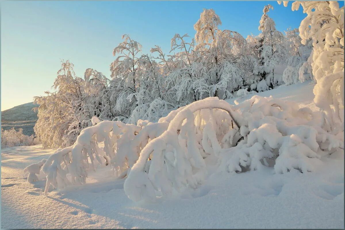 зима север карелии. оймякон якутия. зима на севере. какой мороз на севере. какой мороз на севере.