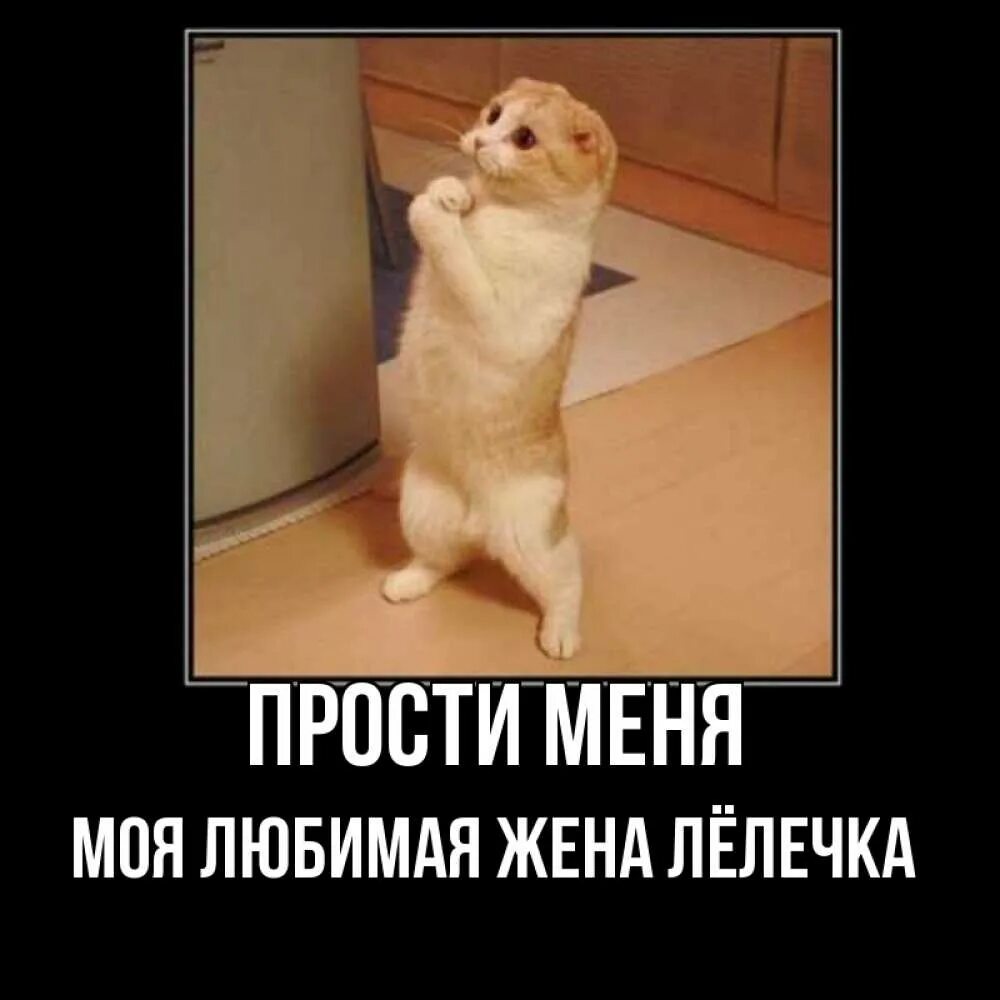 Ты прости моя жена. Стих прости. Стихи прости меня любимая. Ты прости моя жена. Прости меня за.