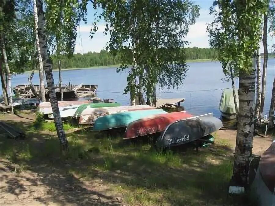Горовалдайское озеро. Барышево ленинградская область. Барышево рыбалка. Барышево ленинградская область коса. Озеро паскояярви ленинградская область.