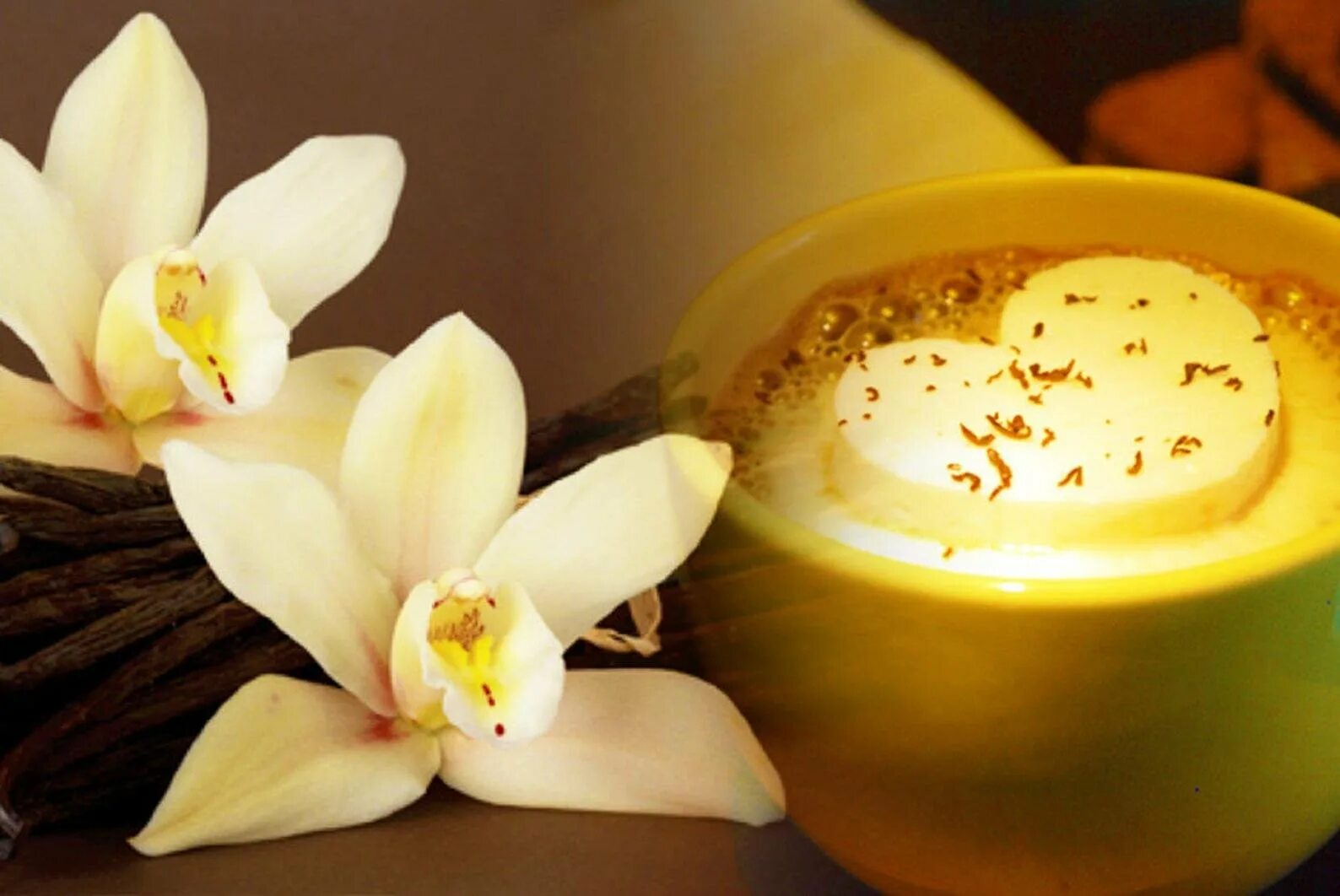 Мадагаскарская ваниль. Цветы мадагаскарской ванили. Бурбонская ваниль цветок. Таитянская ваниль.
