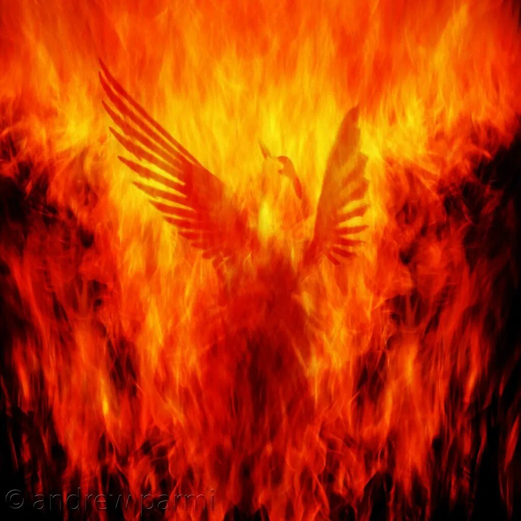 Феникс компани. 2000 - phoenix rising. Phoenix rising группа. Rising phoenix phoenix rose. Orising логотип.