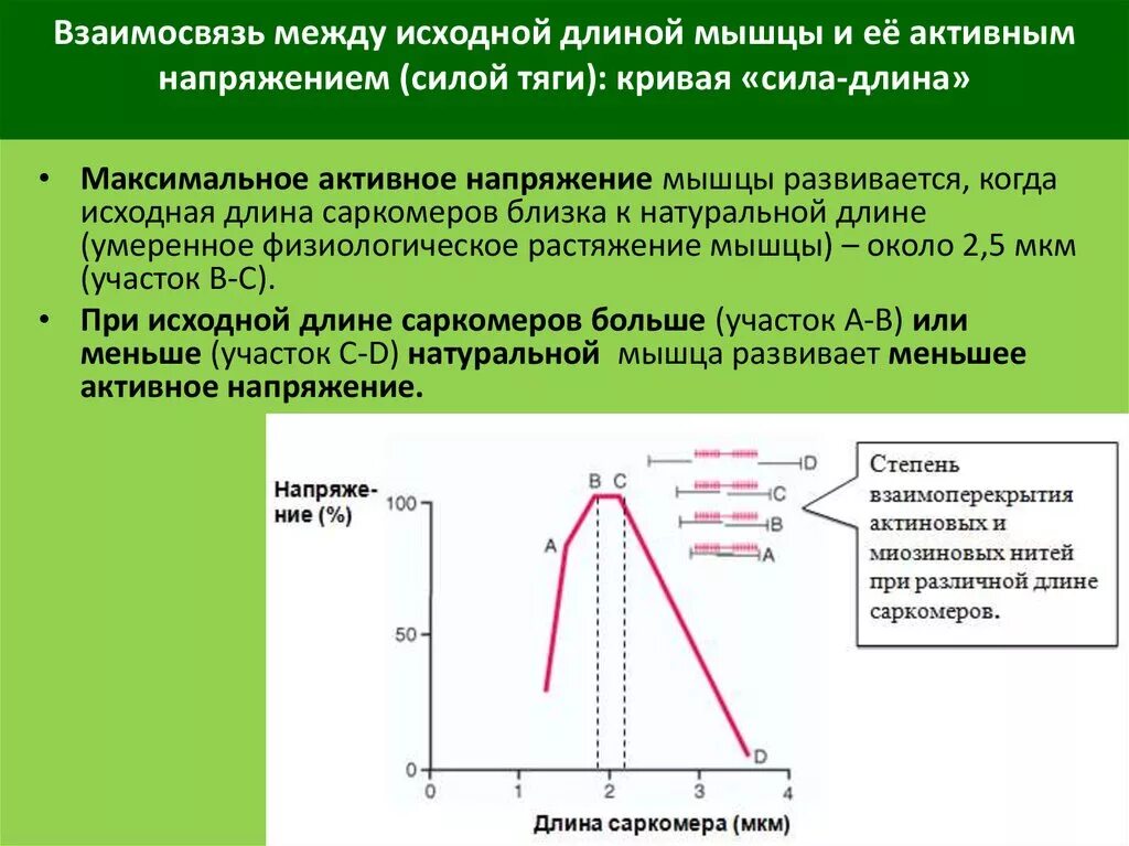 Деревня мгла. Джилленхол фильм исходный код. Исходный код фильм 2011. Упражнение бабочка. Упражнение наклоны туловища вперед.