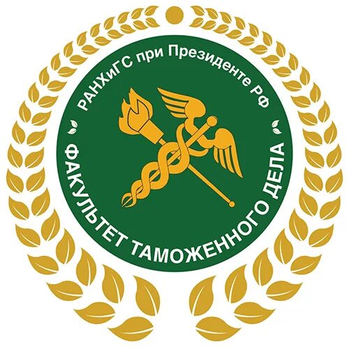 Факультет таможенное дело. Пиманкова ранхигс. Таможенник самгту. Обучение. Таможенный факультет белгут.