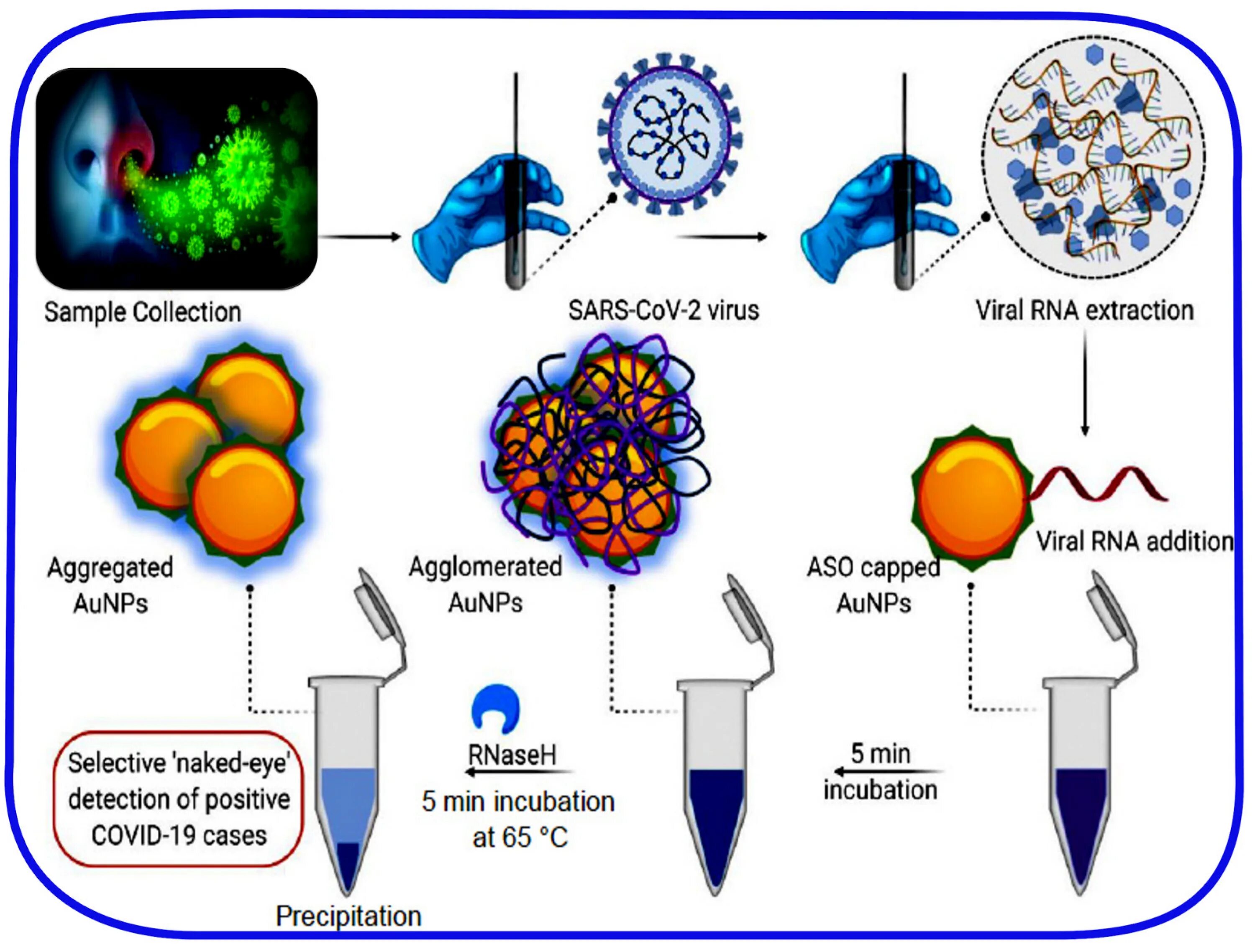 Рнк sars cov 2