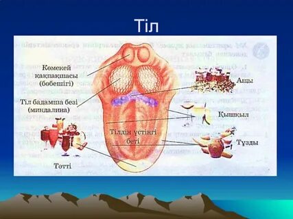 Молдавияда блять