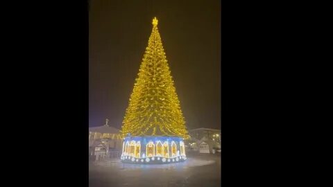 Открытие елки в белгороде 2023